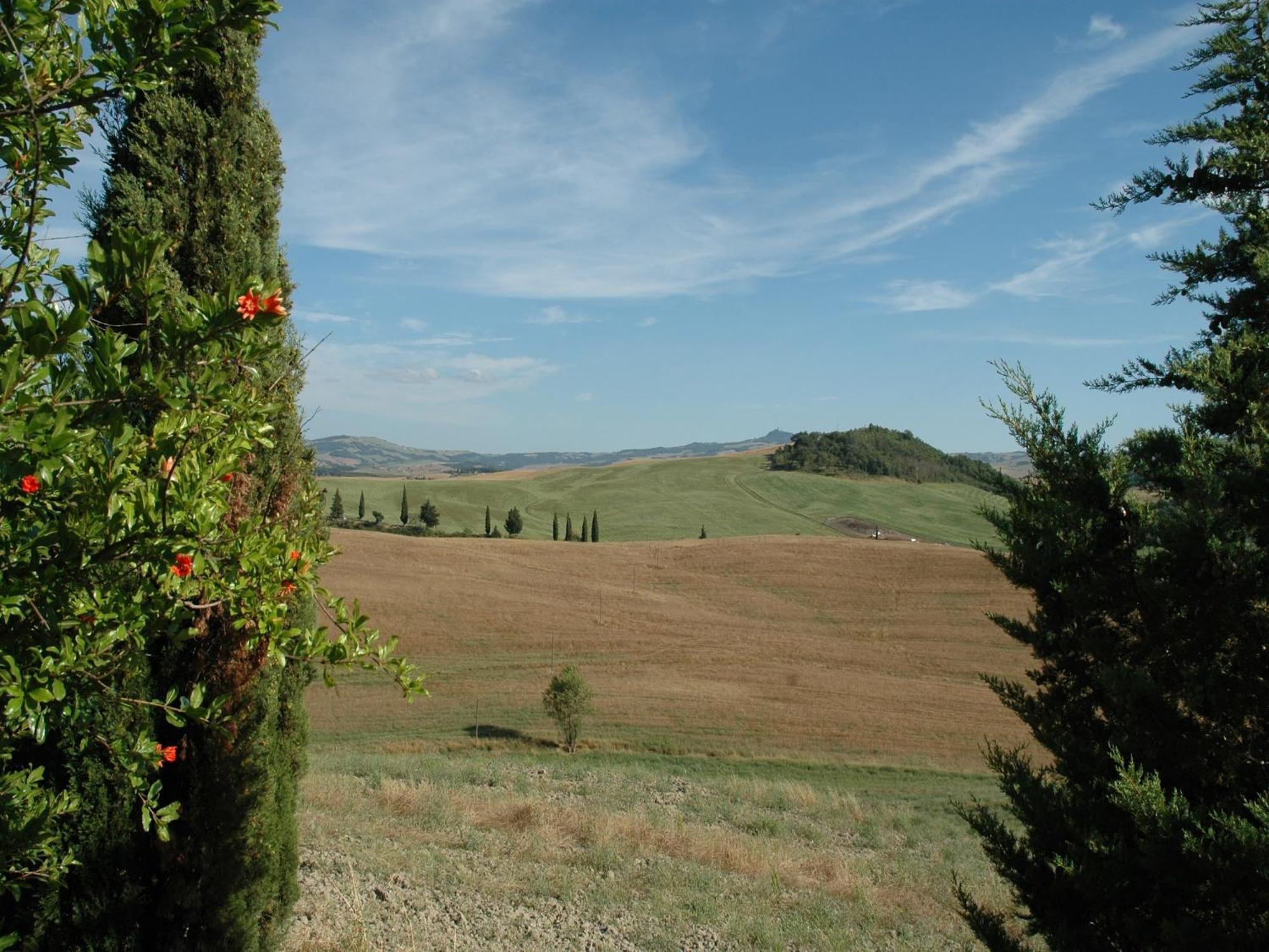 Modern Farmhouse In Pienza With Pool エクステリア 写真